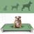 Cama Elevada Pet - Pequena - comprar online