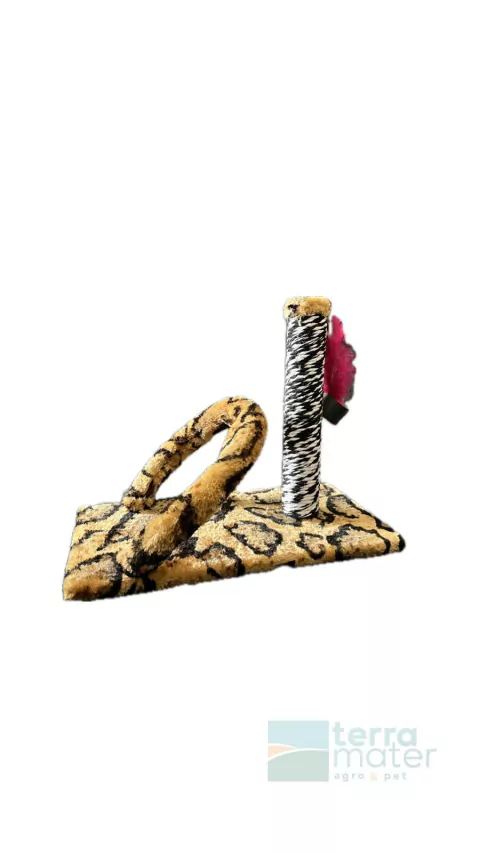 Arranhador Retangular com Arco