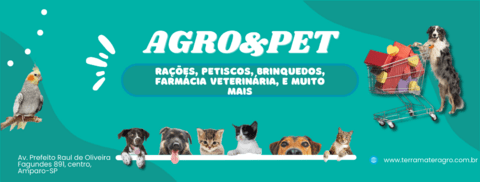 Carrossel 1