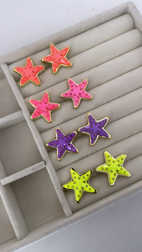 Brinco estrela do mar
