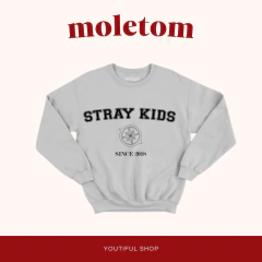 MOLETOM BORDADO - STRAY KIDS SINCE 2018 - Youtiful shop