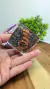 PIRÂMIDE ORGONITE - PROTEÇÃO ELETROMAGNETICA - loja online