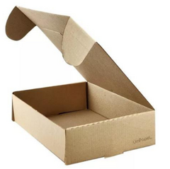 CAJA DE CARTON EMPANADAS