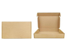 CAJA DE CARTON EMPANADAS - comprar online