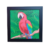 Quadro Decorativo com Moldura 23x23 Cm - QMS22 - Animais na internet