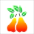 Stencil Simples 10X10 Opa 785 Frutas Peras