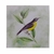 Quadro Decorativo em Tela Canvas 60x60 - TL66 - Animais - Loja Malu