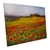 Quadro Decorativo em Tela Canvas 40x50 - TL45 - Campo 1 - loja online