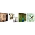 Quadro Decorativo em Tela Canvas 60x60 - TL66 - Animais