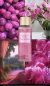 Decant 30ml Pure Seduction (Body Splash) - Victoria's Secret na internet