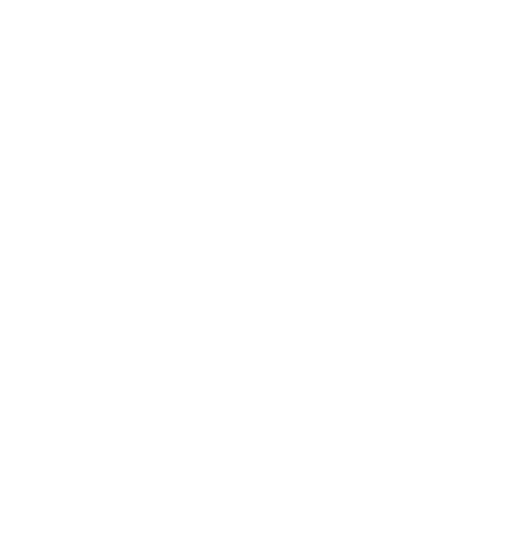 Yasmin Aste Parfum