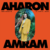 Aharon Amram - Sounds Of Yemen 1962-1987 (2xLP) - comprar online