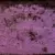 Mazzy Star - So Tonight That I Might See - comprar online