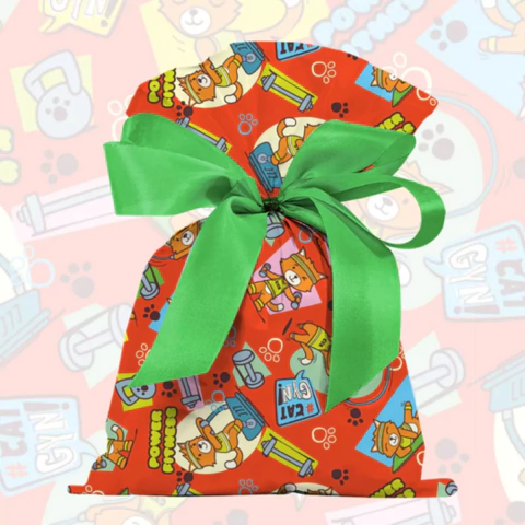 Embalagem Para Presente Cat Gyn - Saco 30x45 Und - Gala