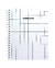 BG Notebook White