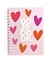 BG Notebook Love Profesional