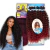 Kit Gypsy Jamile Preto com marsala - Bio Fibra Cherey
