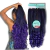 Jumbo Boho Curl Preto com Roxo #T1B/PURPLE Fibra Premium Braids 400gr - Cherey