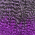 Cabelo Orgânico Cacheado 3c Goivo #T1B/PURPLE - Bynegabraids