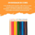 Lápis de Cor Sextavado BIC Evolution: 24 Cores - loja online