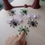 Imagem do Jogo de tabuleiro Aranhas Saltadoras Jumping Spiders diversão para familia