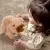 Brinquedo Capivara de pelúcia interativa com sons e movimentos recarregável - Loja Xapeca | Desde 1998 entregando produtos de qualidade | Brinquedos, presentes, casa e decoração