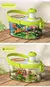 Brinquedo educativo para exploração da natureza com lupas, conteiner para preservação de insetos e outros equipamentos - Loja Xapeca | Desde 1998 entregando produtos de qualidade | Brinquedos, presentes, casa e decoração