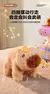 Imagem do Brinquedo Capivara de pelúcia interativa com sons e movimentos recarregável