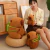 Pelúcia Capivara Fofa com Mochila de Tartaruga - loja online