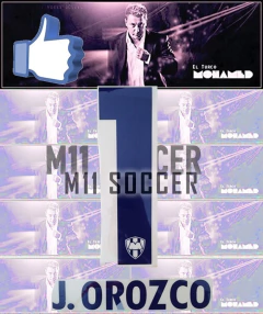 ESTAMPADO RAYADOS DE MONTERREY 2013-2014