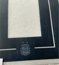 ESTAMPADO SELECCION ARGENTINA 2018-2019 #10 MESSI en internet