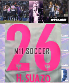 ESTAMPADO RAYADOS DE MONTERREY 2013-2014 - comprar en línea