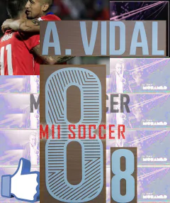 ESTAMPADO SELECCION DE CHILE 2014