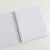 CADERNO BASIC - TULIPAS - loja online