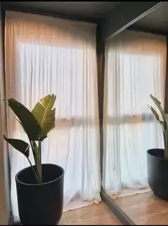 Cortinas Tusor para Riel - tienda online