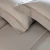 Jogo Cama Queen Cetim 300 Fios Buddemeyer Bud Vision Otto Bege
