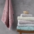 Jogo Toalha Banho Rosto Buddemeyer Lollipop Bege - Girassol Bordados | Cama - Mesa - Banho