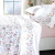 Jogo Cama Casal 200 Fios Dohler Aurora Rosa - comprar online