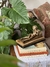 Imagem do escultura bronze