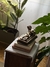 escultura bronze - comprar online