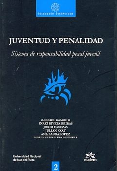 Juventud y penalidad