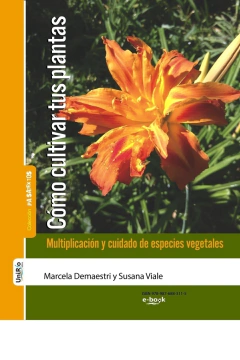 Cómo cultivar tus plantas
