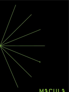 MACULA