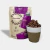 Crunch de Coco Chocolate - comprar online