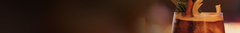 Banner de la categoría Gin