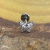Labret Titânio 8 Zircônias Borboleta Pequena