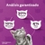 Whiskas Gatitos Cachorros x 10 Kg en internet
