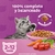 Whiskas Gatitos Cachorros x 10 Kg - tienda online