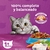 Whiskas Gato Adulto Pescado x 10 Kg - tienda online