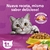 Imagen de Whiskas Gato Adulto Pollo X 10 Kg